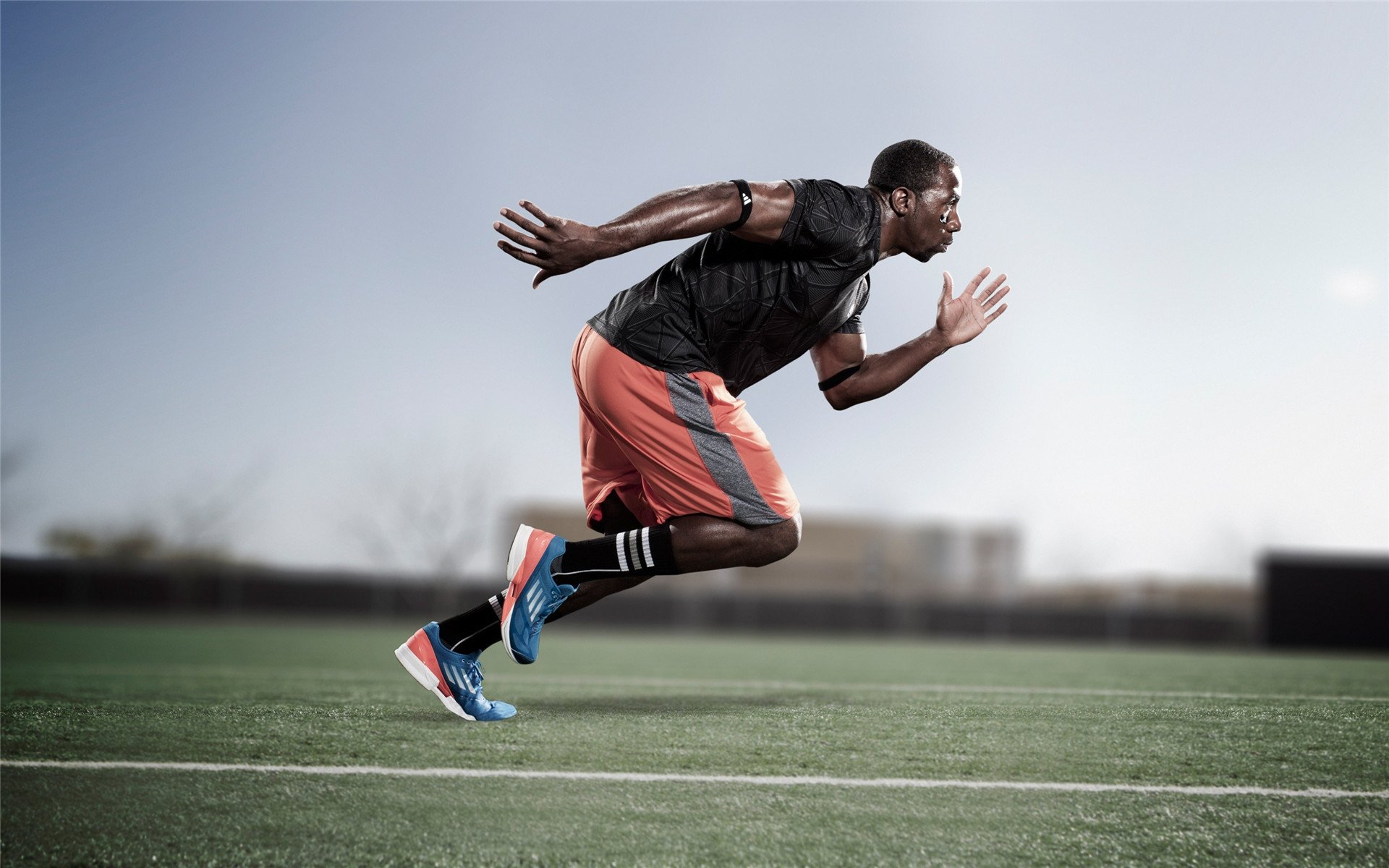 备战背后的秘密：教练组的秘密技术档案，教练组成员